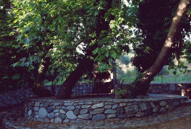 Kazdağı Kamp Zeytinli - Görsel 12