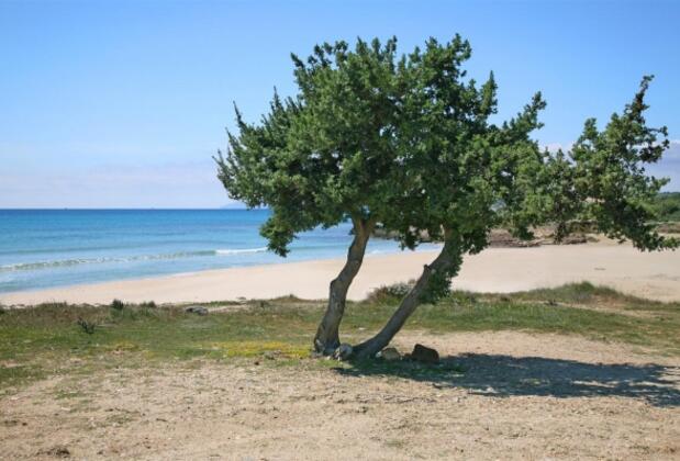 Ebru Pansiyon - Görsel 11