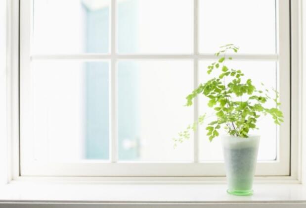 Adelina Hotel - Görsel 5