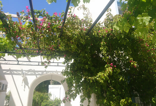 Granma Butik Apart - Görsel 25