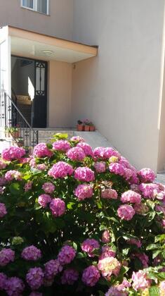 Varhan Apart Pansiyon - Görsel 22