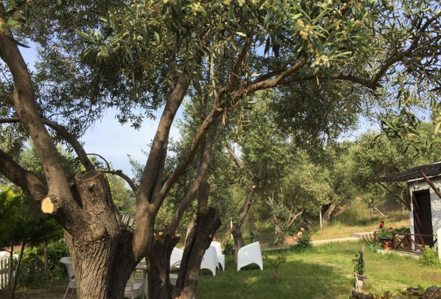 Kotti Margot Butik Otel - Görsel 19