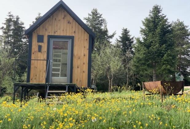 Abant Camping - Görsel 13