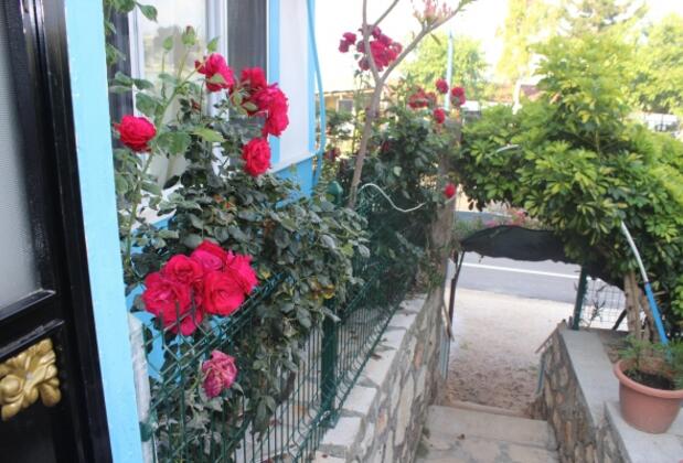 Mavi Yengeç Yüzer Köşk Restaurant ve Apart Otel - Görsel 22