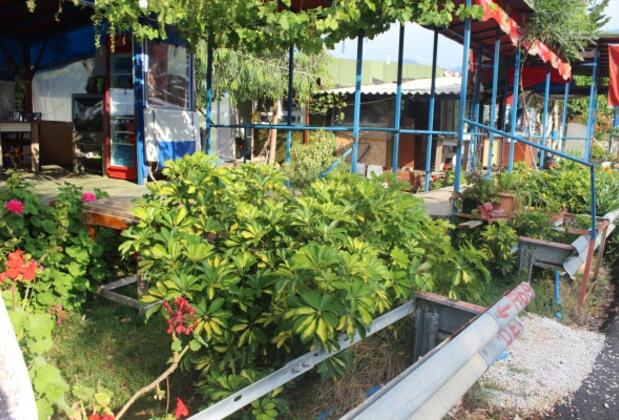 Mavi Yengeç Yüzer Köşk Restaurant ve Apart Otel - Görsel 42