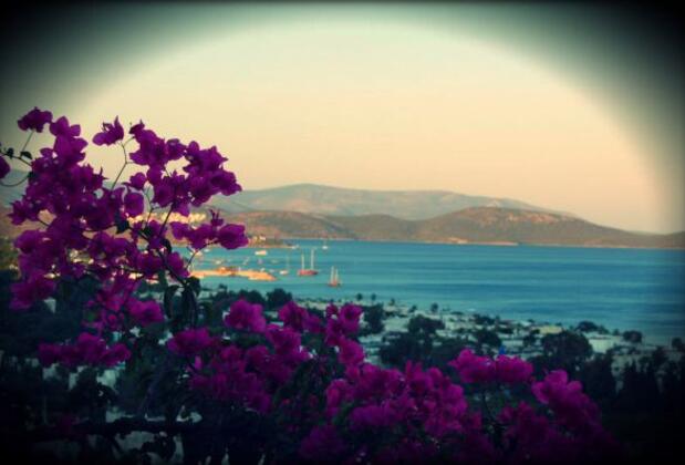 Sıla Pansiyon - Görsel 40