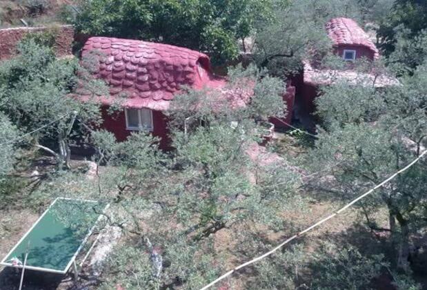 Oliva Havuzlu Pansiyon - Görsel 17