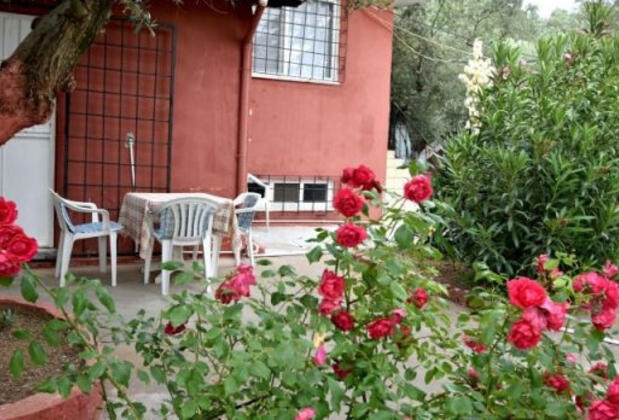 Oliva Havuzlu Pansiyon - Görsel 20