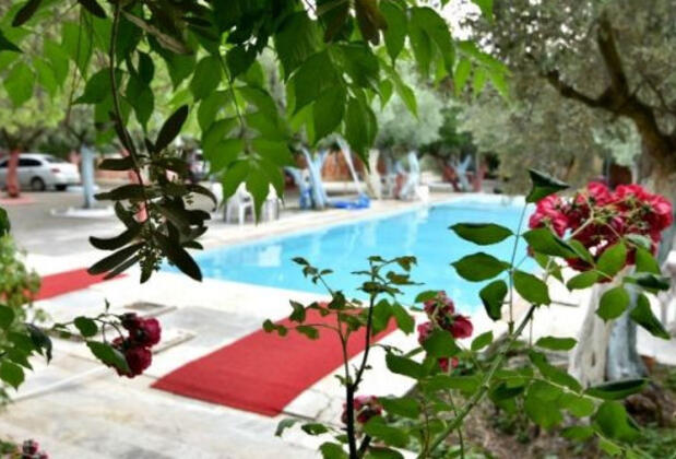 Oliva Havuzlu Pansiyon - Görsel 15