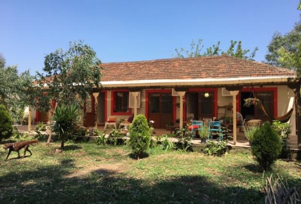 Dane Pansiyon - Görsel 11