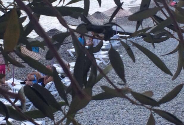 Oliva Pansiyon Apart - Görsel 21