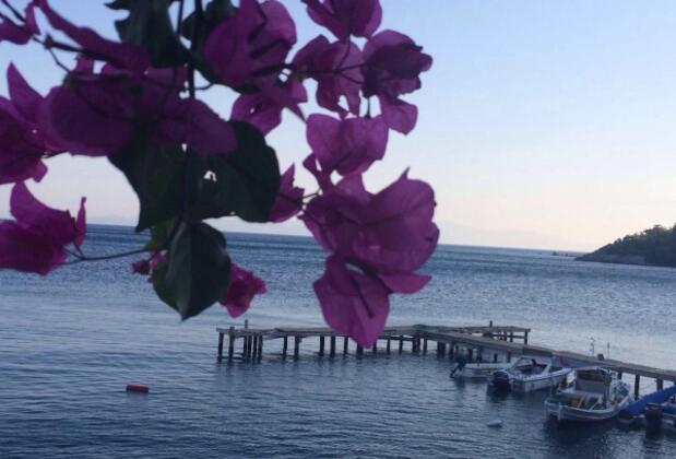 Oliva Pansiyon Apart - Görsel 8