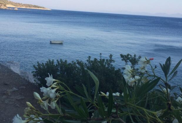 Oliva Pansiyon Apart - Görsel 30