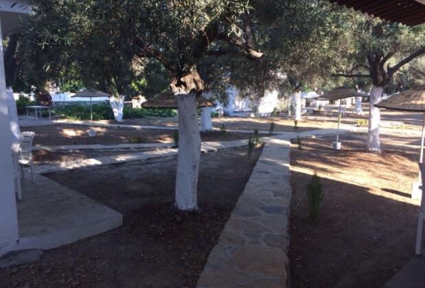 Oliva Pansiyon Apart - Görsel 34