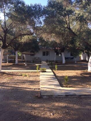 Oliva Pansiyon Apart - Görsel 12