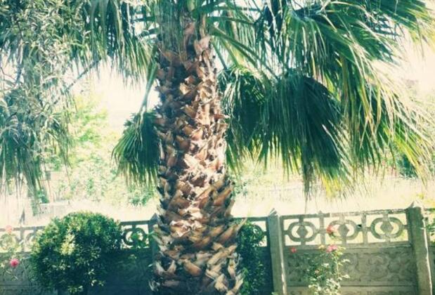 Melih Arna Apart Pansiyon - Görsel 5