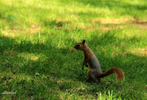 Doğa Deniz Pansiyon Restaurant - Görsel 20