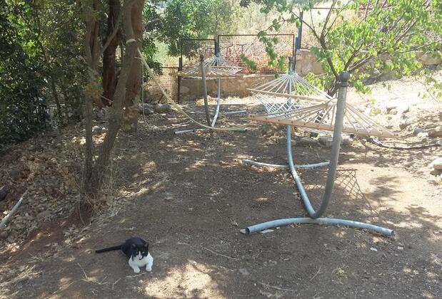 Cici's Pansiyon - Görsel 12