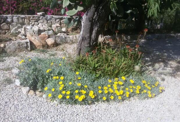 Cici's Pansiyon - Görsel 33