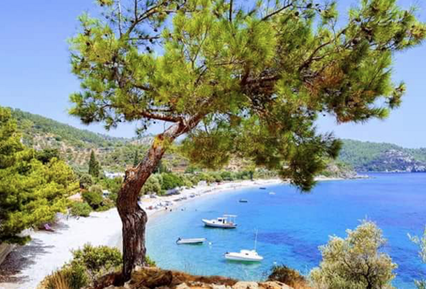 Mazı Ege Pansiyon & Restaurant - Görsel 9