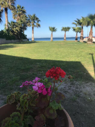 Değirmen Pansiyon Apart Evler - Görsel 9