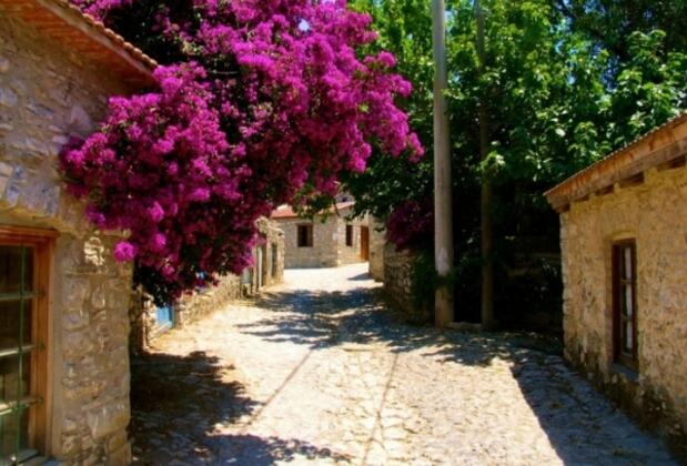 Datça Parla Hayıtbükü - Görsel 22