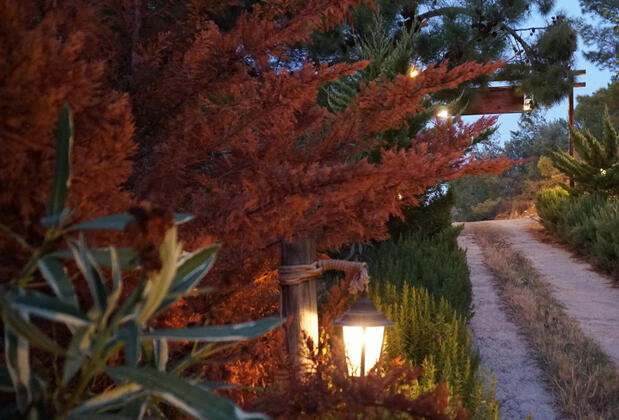 Eftalikus Datça - Görsel 25