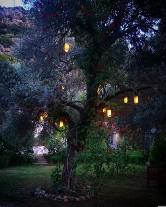 Eftalikus Datça - Görsel 29