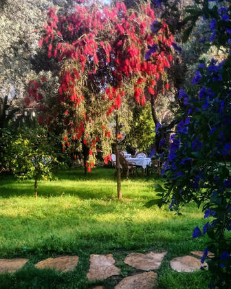 Eftalikus Datça - Görsel 21