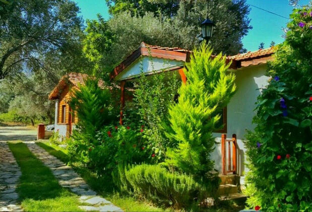 Eftalikus Datça - Görsel 22