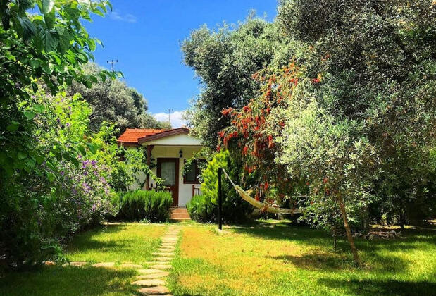 Eftalikus Datça - Görsel 23