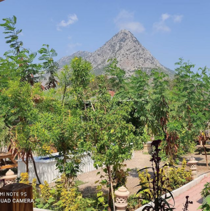 Adrahasan Bungalow - Görsel 11