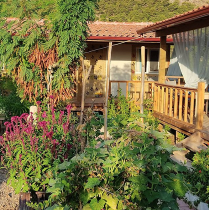 Adrahasan Bungalow - Görsel 4