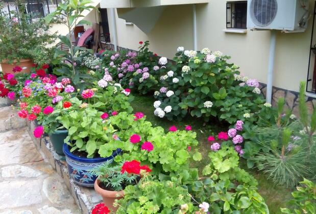  Cennet Bahçesi Pansiyon - Görsel 12