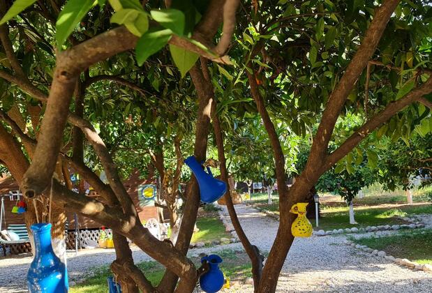 Truva Bungalows Olympos - Görsel 6