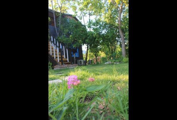 Tahta Villa Çıralı - Görsel 3