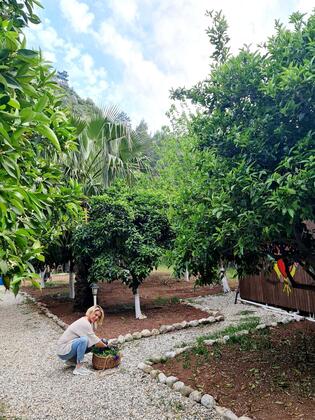 Truva Bungalows Olympos - Görsel 7