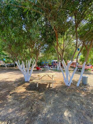 Akasya Camping ve Pansiyon - Görsel 6
