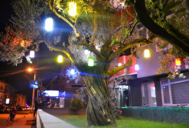 Moda Pansiyon - Apart - Görsel 3