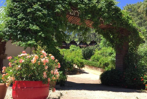 Olimpos Otantik Ağaç Evleri - Görsel 14