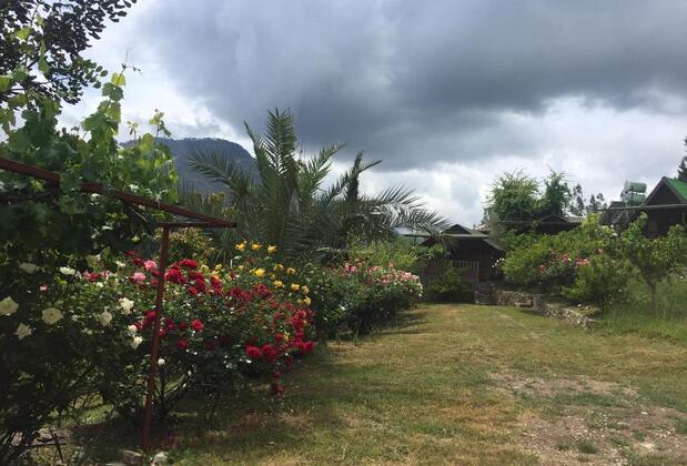 Olimpos Otantik Ağaç Evleri - Görsel 15