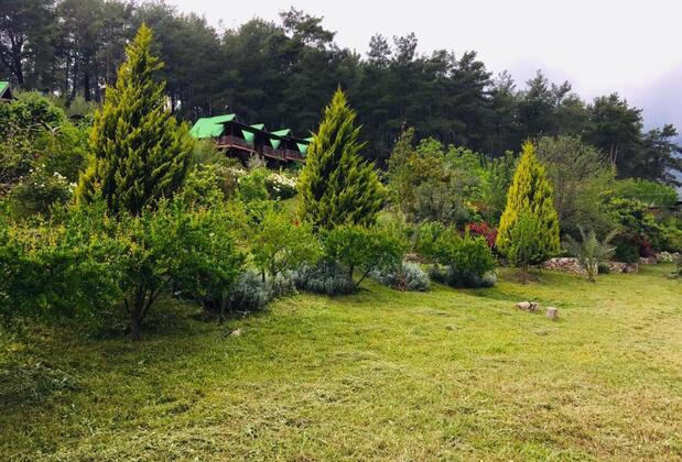 Olimpos Otantik Ağaç Evleri - Görsel 17