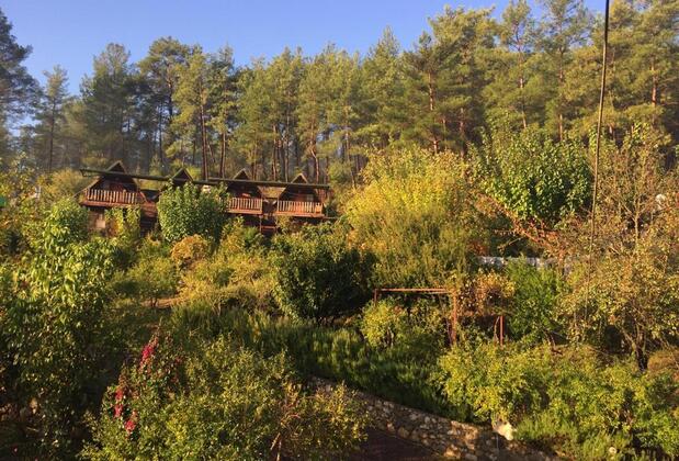 Olimpos Otantik Ağaç Evleri - Görsel 3