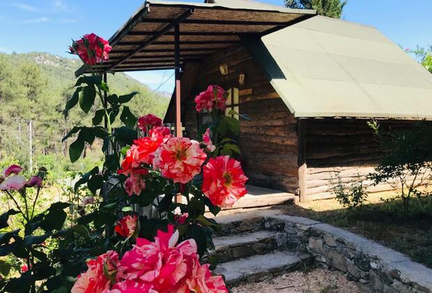 Olimpos Otantik Ağaç Evleri - Görsel 16