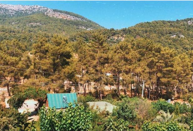 Olimpos Otantik Ağaç Evleri - Görsel 18