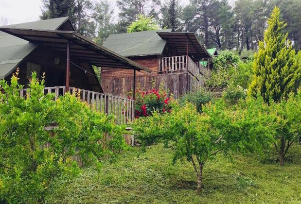 Olimpos Otantik Ağaç Evleri - Görsel 2