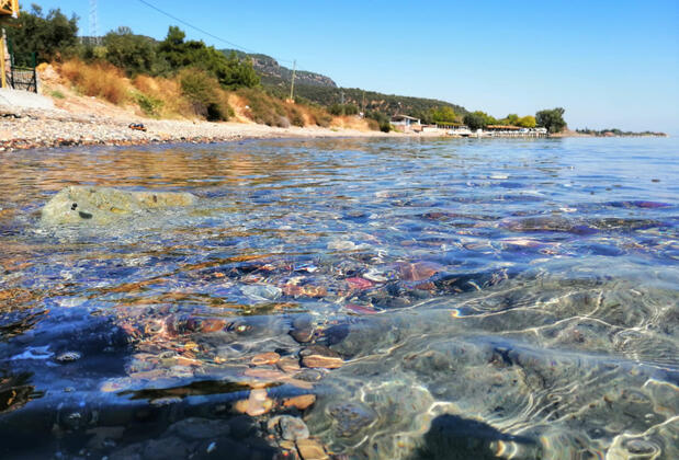 Yalı Butik Otel Assos - Görsel 23