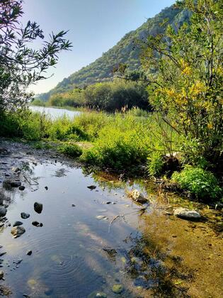 Zakkum Pansiyon & Restaurant - Görsel 10