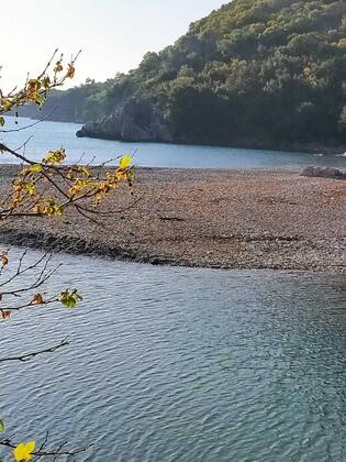 Zakkum Pansiyon & Restaurant - Görsel 12