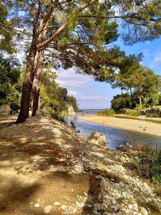 Zakkum Pansiyon & Restaurant - Görsel 13